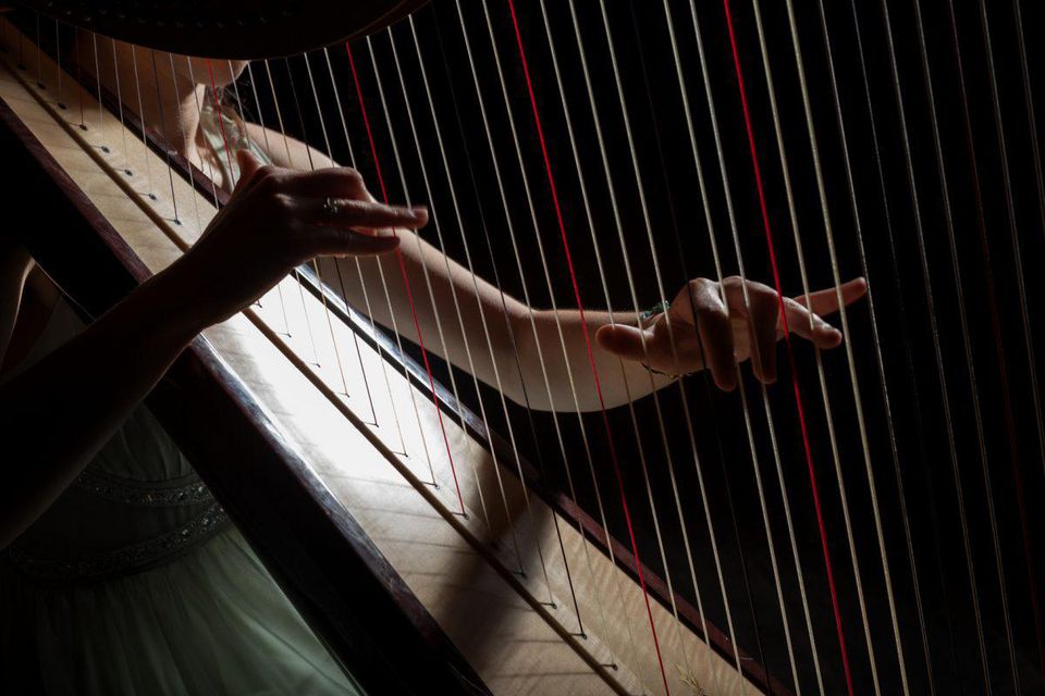 A classical musician playing the harp